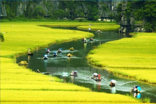 Hanoi - Halong bay - Sapa - City tour (7ds 6ns Package)