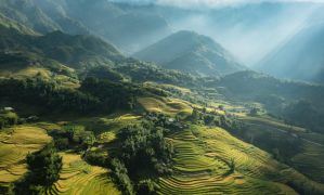 Hanoi - Halong Bay - Hanoi Cooking class (3ds 2ns Package)